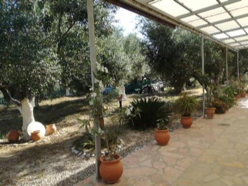 Sunny Holiday Home Kalamata Zewnętrze zdjęcie