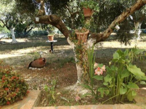Sunny Holiday Home Kalamata Zewnętrze zdjęcie