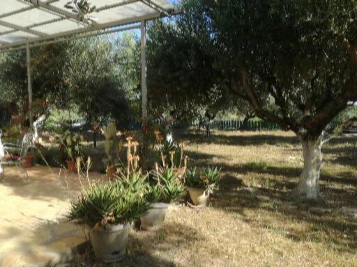 Sunny Holiday Home Kalamata Zewnętrze zdjęcie