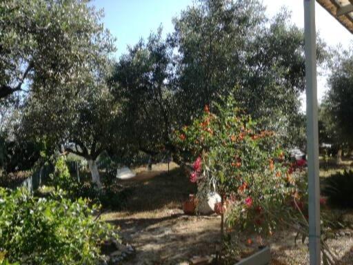 Sunny Holiday Home Kalamata Zewnętrze zdjęcie
